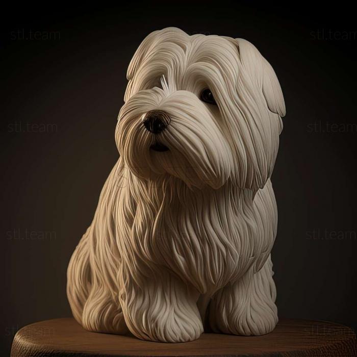 3D model Coton de tulear dog (STL)